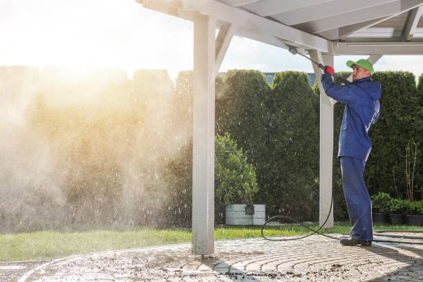 Best Graffiti Removal Services in Lowry Crossing, TX